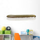 Black and Yellow Millipede Wall Decal