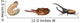 Nymph Larva Adult of Male Hercules Beetle Wall Decal