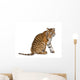 Bengal Tiger Sitting Wall Decal