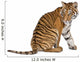Bengal Tiger Sitting Wall Decal