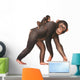Animal Monkey Chimpanzees Wall Mural