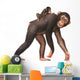 Animal Monkey Chimpanzees Wall Mural