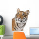 Close-up portrait of Bengal tiger in front of a white background Wall Decal