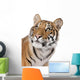 Close-up portrait of Bengal tiger in front of a white background Wall Decal