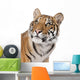 Close-up portrait of Bengal tiger in front of a white background Wall Decal