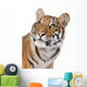 Close-up portrait of Bengal tiger in front of a white background Wall Decal
