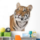 Close-up portrait of Bengal tiger in front of a white background Wall Decal