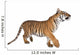 Bengal Tiger,1 year old, walking in front of white background Wall Decal