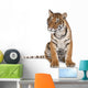 Portrait of Bengal Tiger Sitting Wall Decal