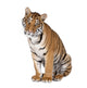 Bengal Tiger Sitting Wall Decal