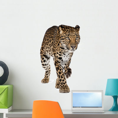 Walking Leopard Wall Decal shown on a wall