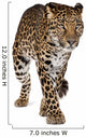 Walking Leopard Wall Decal