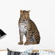 Portrait of Leopard Sitting Against White Background Wall Decal