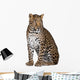 Portrait of Leopard Sitting Against White Background Wall Decal