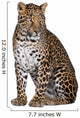 Portrait of Leopard Sitting Against White Background Wall Decal
