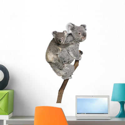 Koala Bears Climbing Tree Wall Decal shown on a wall