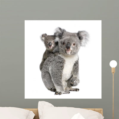 Portrait Koala Bears Front shown on a wall