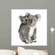 Portrait Koala Bears Front