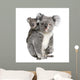 Portrait Koala Bears Front