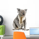 male Koala bear Wall Decal