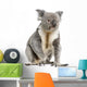 male Koala bear Wall Decal
