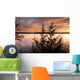 Vibrant Sunset Lake Fellows Wall Decal
