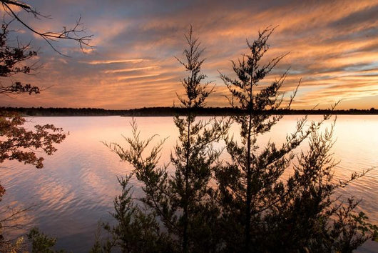 Vibrant Sunset Lake Fellows Wall Decal