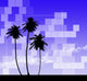 Abstract palm & summer background Wall Mural