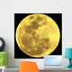 Moon Wall Decal Design 1