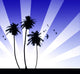 Abstract palm & summer background Wall Mural