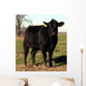 Black Angus Cow Cattle Portrait Farm Animal Wall Mural