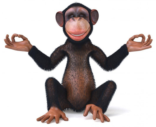 Zen Monkey Wall Decal – Wallmonkeys