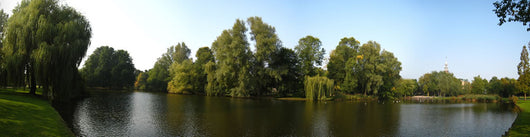 Oosterpark-vijver Netherland Wall Decal