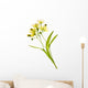 Linden Flower Wall Decal