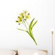 Linden Flower Wall Decal