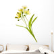 Linden Flower Wall Decal