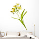 Linden Flower Wall Decal