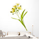 Linden Flower Wall Decal