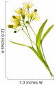 Linden Flower Wall Decal