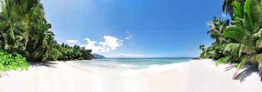 Honeybeach Wall Mural