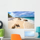 Rocks on Hyams Beach Wall Mural