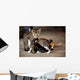 Nursing Kitten Wall Mural