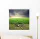biking Wall Mural