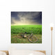 biking Wall Mural
