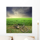 biking Wall Mural