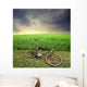 biking Wall Mural