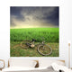 biking Wall Mural