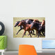 A herd of young horses Wall Mural