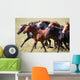 A herd of young horses Wall Mural