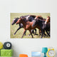 A herd of young horses Wall Mural